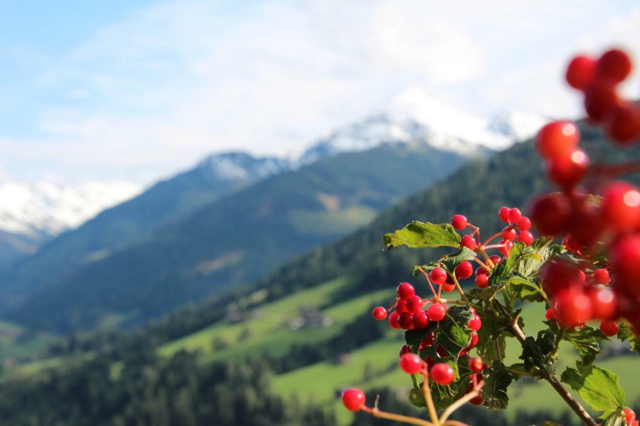 Moahof Apartment Alpbach Bagian luar foto