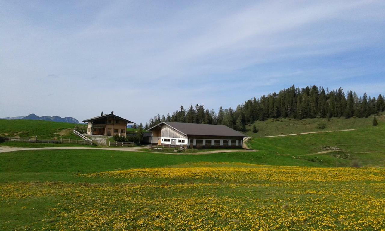 Moahof Apartment Alpbach Bagian luar foto