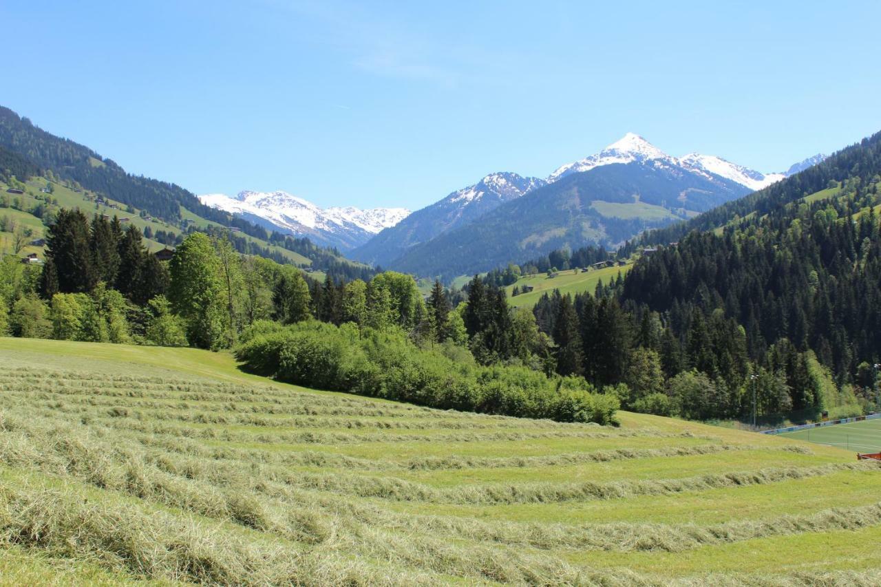 Moahof Apartment Alpbach Bagian luar foto